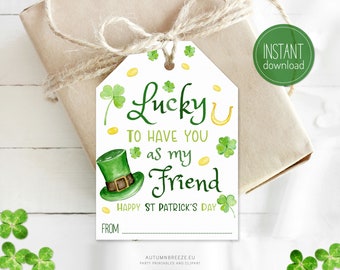 St Patricks Day Tags, Happy St Patricks day gift tags, kids st patricks day, Saint Patricks, Printable tags, INSTANT DOWNLOAD