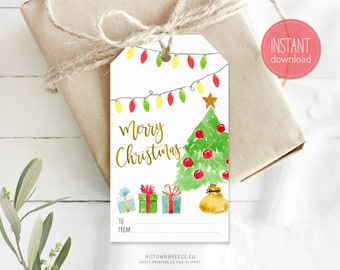 Printable Christmas Gift Tag, Holiday Favor tag, Merry Christmas Tag, diy hang tag, INSTANT DOWNLOAD