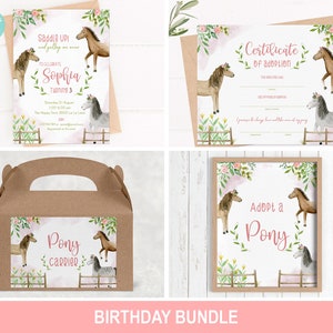 Birthday Party Bundle,  Horse Birthday Invitation Girl, Pony invite, Pony adoption Certificate, Pony Carrier Label, C12