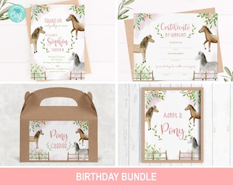 Birthday Party Bundle,  Horse Birthday Invitation Girl, Pony invite, Pony adoption Certificate, Pony Carrier Label, C12