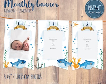 baby shark, Monthly photo banner, First birthday banner, baby shark decor, Banner Birthday, party decor PRINTABLE C02