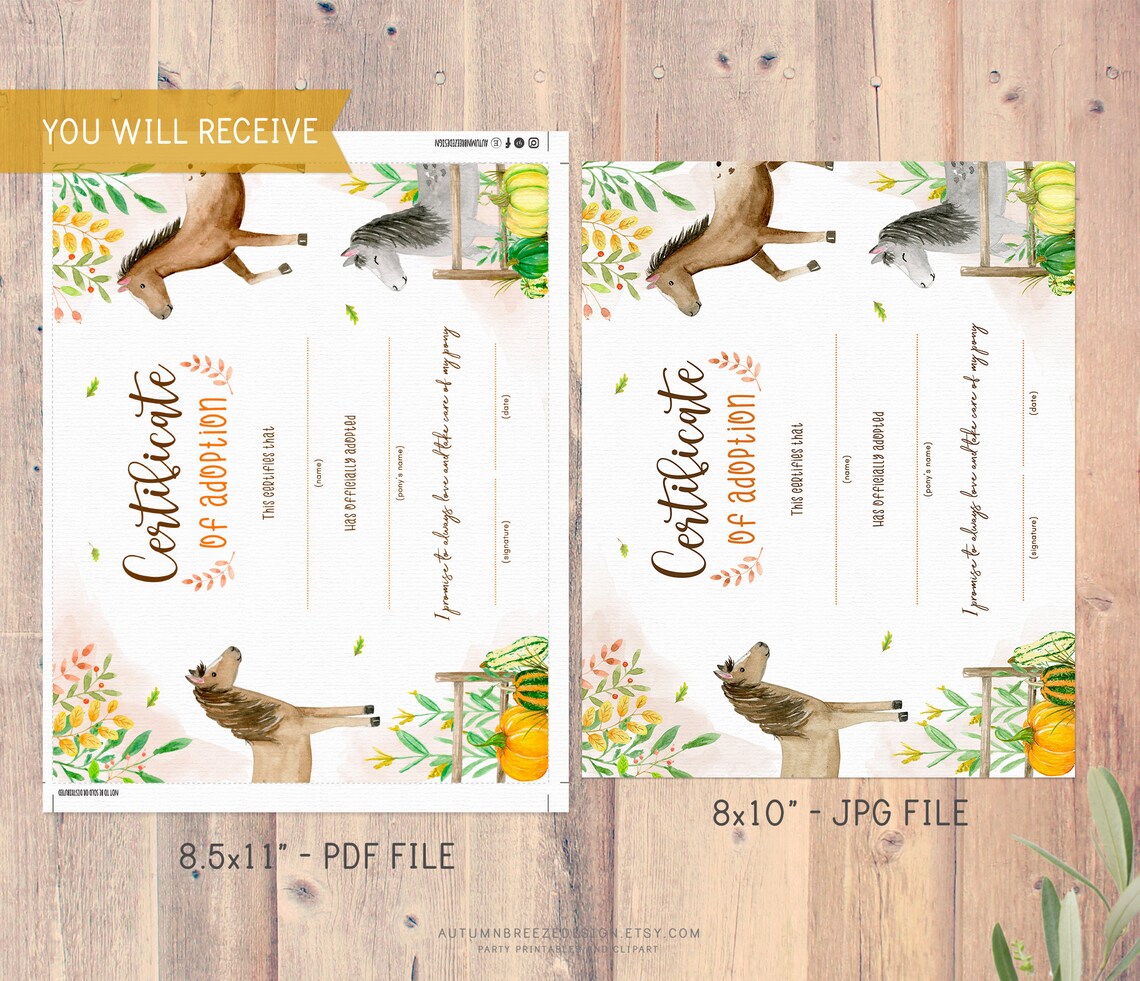 Adoption Certificate Adopt a Pony Printable Certificate - Etsy