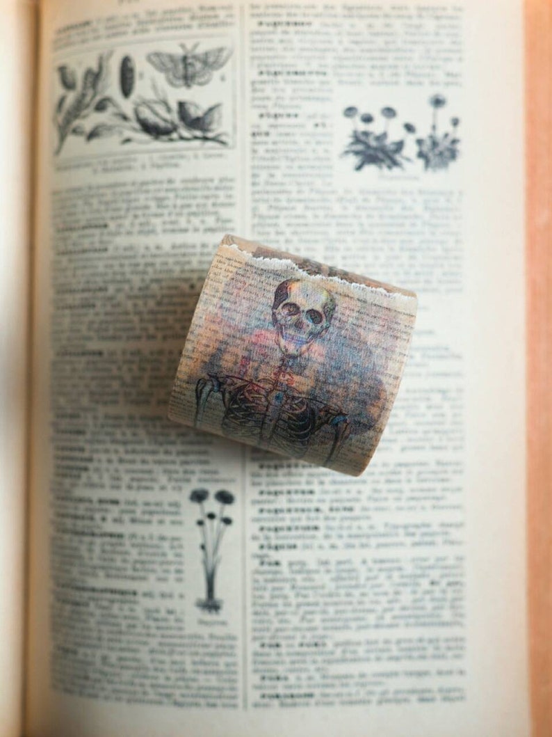 Anatomy Washi by Asteroid B610