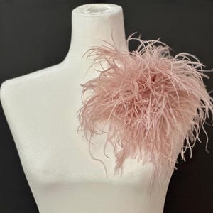 May include: A dusty rose ostrich feather accessory featuring long, wispy, and delicate plumes arranged in a dense, circular cluster. The soft, light pink feathers create a voluminous and textured appearance, radiating outward from a central point.