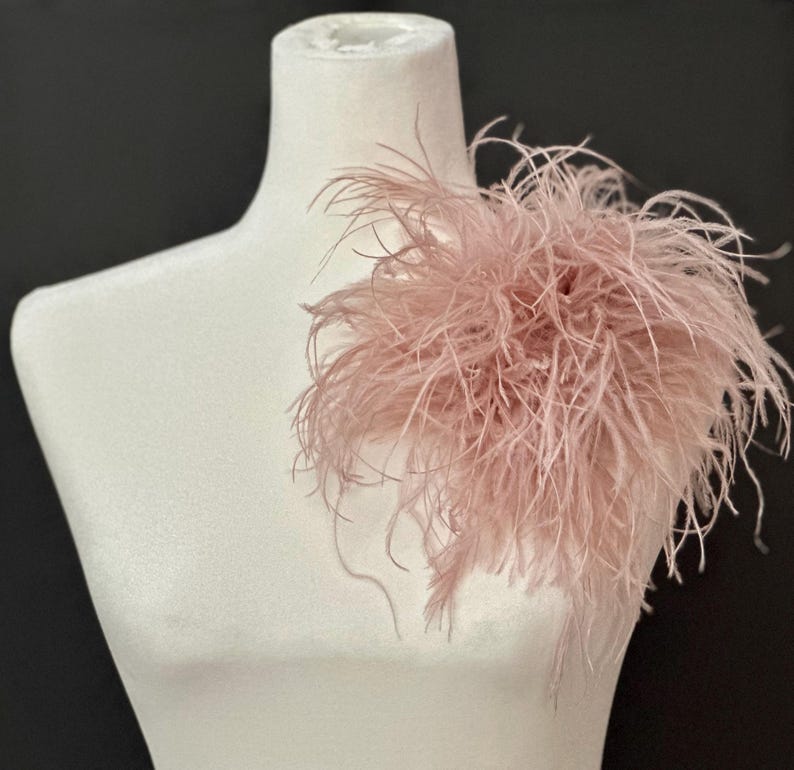 May include: A dusty rose ostrich feather accessory featuring long, wispy, and delicate plumes arranged in a dense, circular cluster. The soft, light pink feathers create a voluminous and textured appearance, radiating outward from a central point.