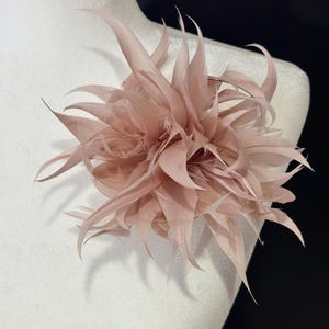 May include: A blush pink feather flower accessory, possibly a brooch or hair clip, is displayed on a white mannequin. The accessory features layered feathers radiating outwards, creating a textured, floral appearance. The background is black.