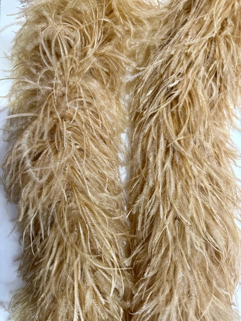 May include: Close-up of two strands of fluffy, light brown ostrich feathers. The feathers are soft and delicate, with a natural, textured appearance. The strands are arranged side by side, creating a full and voluminous look. Ideal for crafting or costume design.