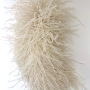 May include: A fluffy, cream-colored feather boa against a white background. The boa is densely packed with soft, delicate feathers, creating a voluminous and textured appearance. The feathers have a slight sheen, adding a touch of elegance.