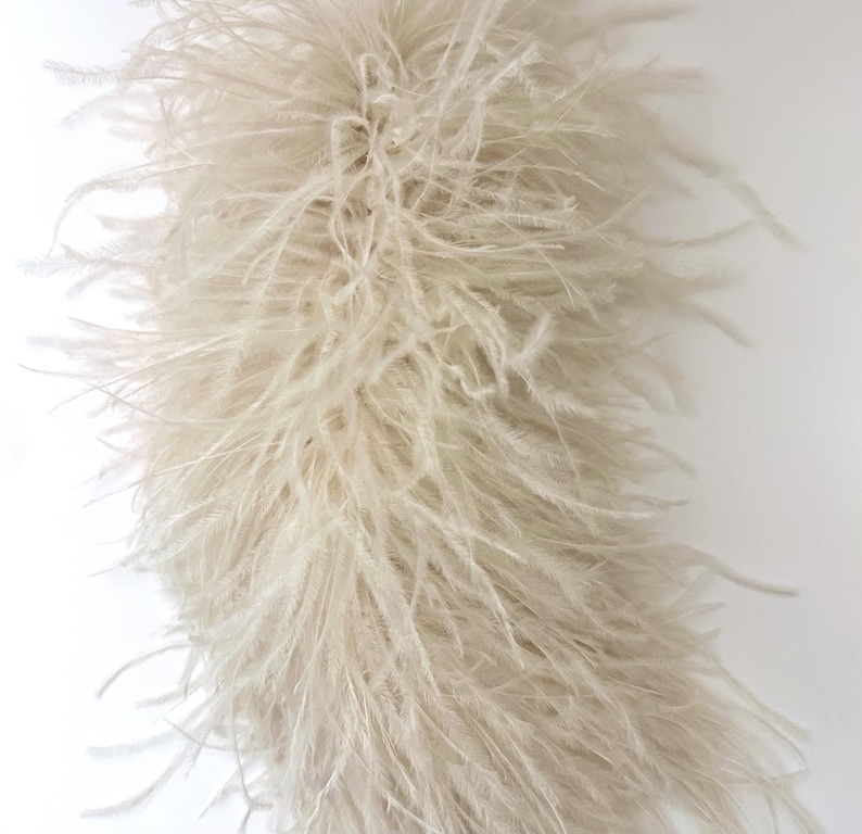 May include: A fluffy, cream-colored feather boa against a white background. The boa is densely packed with soft, delicate feathers, creating a voluminous and textured appearance. The feathers have a slight sheen, adding a touch of elegance.