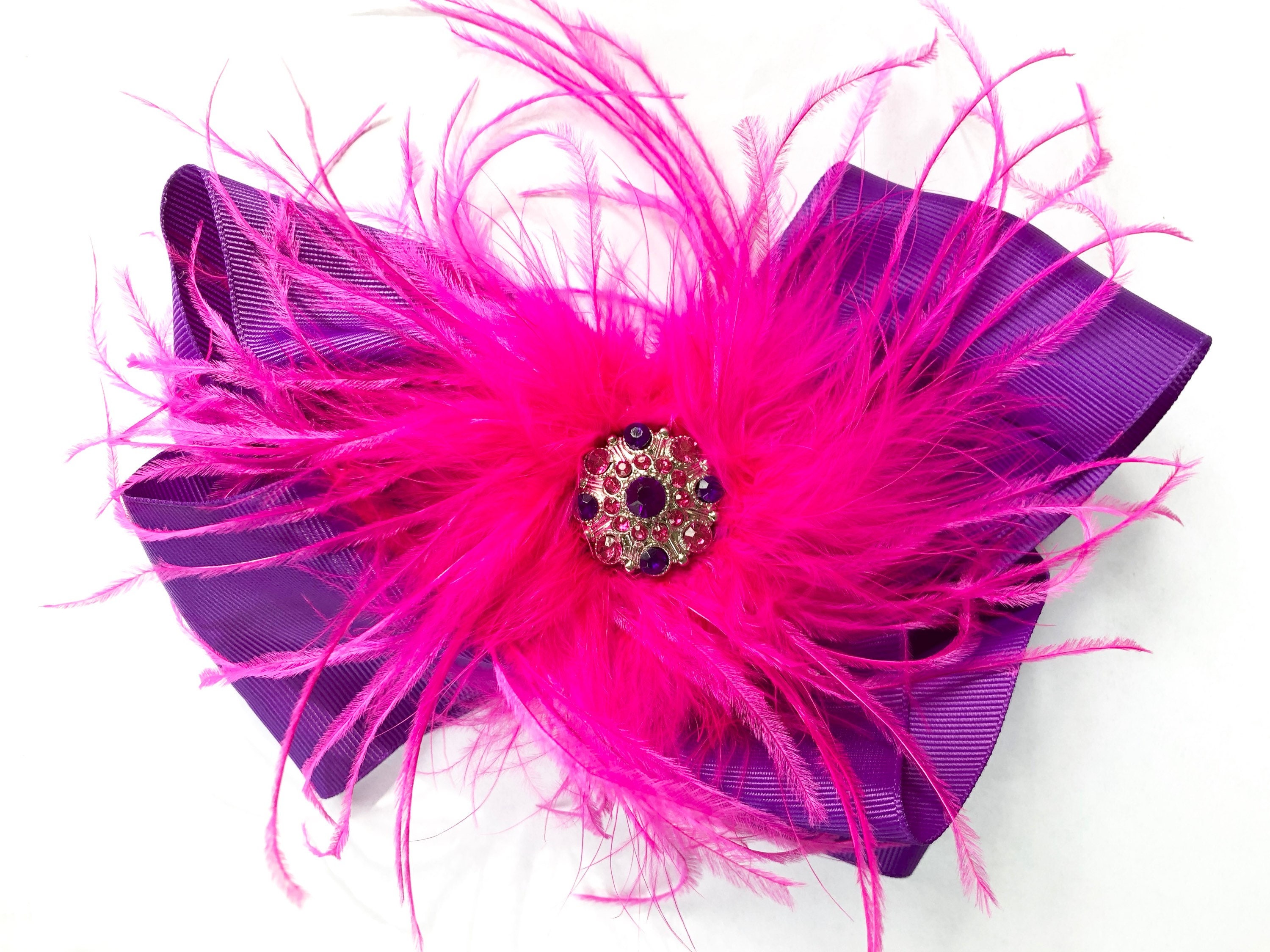 Dance Costume Harpiesce Feather Hair Bows Big Hair Bows