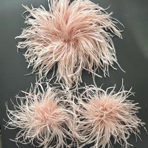May include: Three circular ostrich feather embellishments in a soft blush pink color. The feathers are arranged in a dense, radiating pattern, creating a voluminous and textured appearance with long, wispy filaments extending from the center.