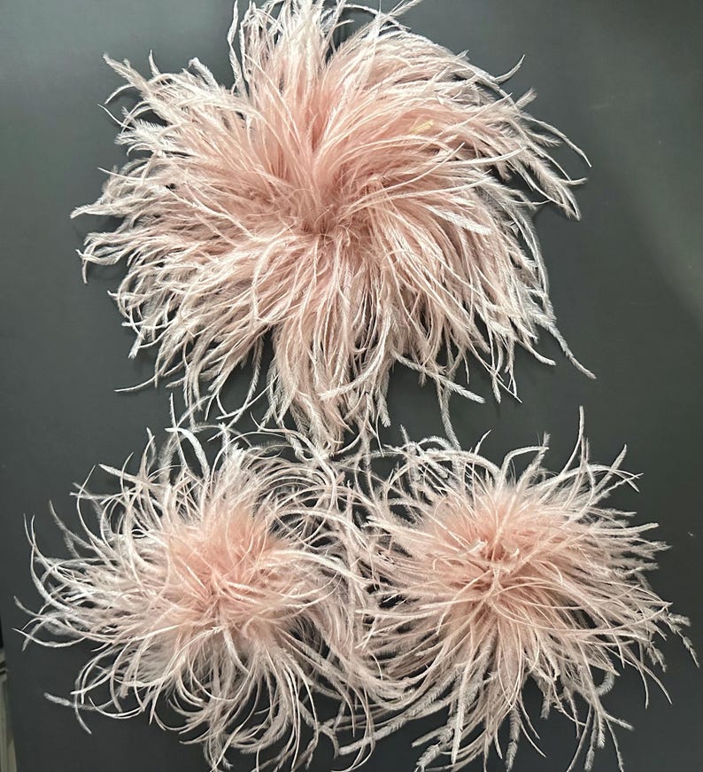 May include: Three circular ostrich feather embellishments in a soft blush pink color. The feathers are arranged in a dense, radiating pattern, creating a voluminous and textured appearance with long, wispy filaments extending from the center.