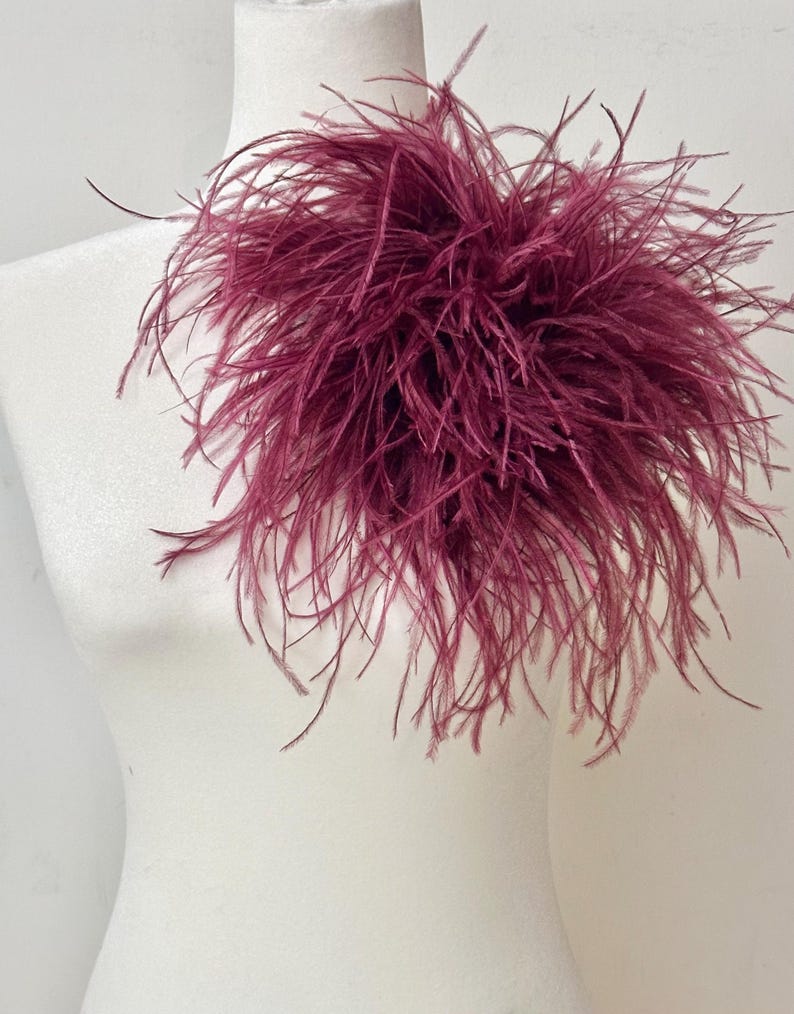 May include: A deep burgundy ostrich feather accessory featuring long, wispy, and delicate plumes arranged in a dense, voluminous cluster. The feathers exhibit a rich, dark red color with subtle variations in tone, creating a soft, textured appearance.