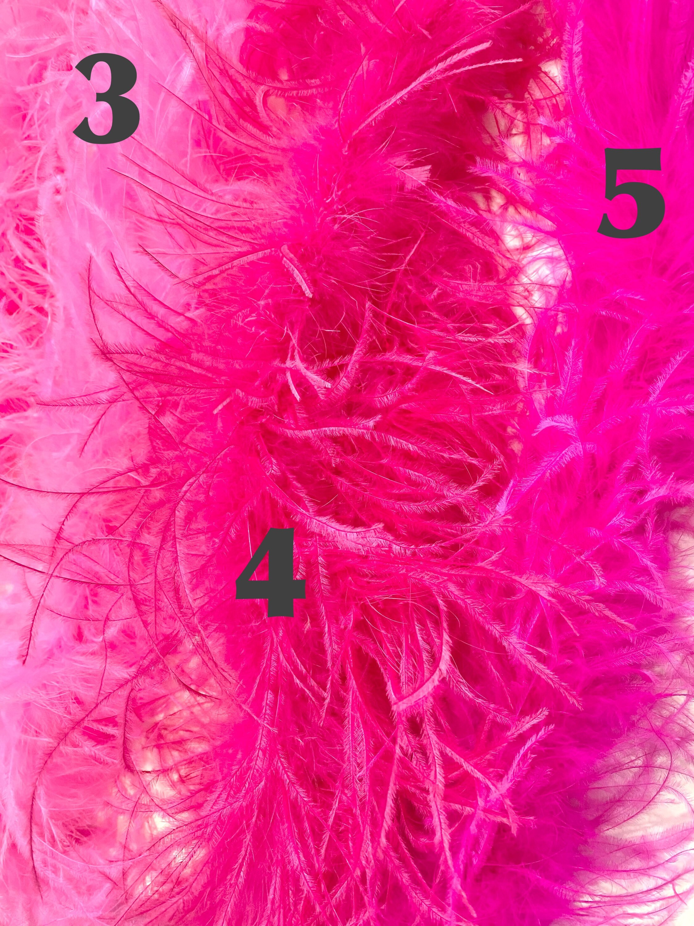 Dance Costume Feather Hair clips,Hot Pink Feather Clip, Red Black