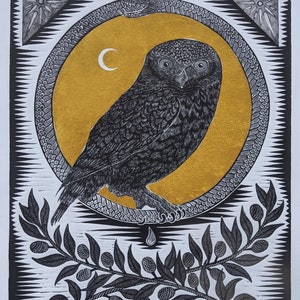 Athena Noctura - Little Owl - Relief / Intaglio Print