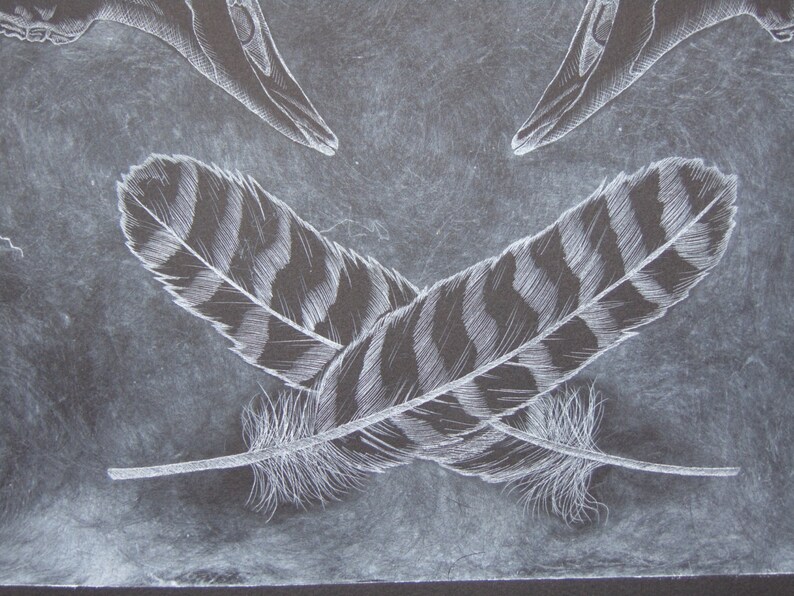 Deer Plexiglass Etching Print Etsy