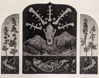 Memento Mori - Copper Etching Print