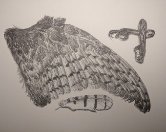 Roadkill - Barn Owl - Stone Lithograph Print