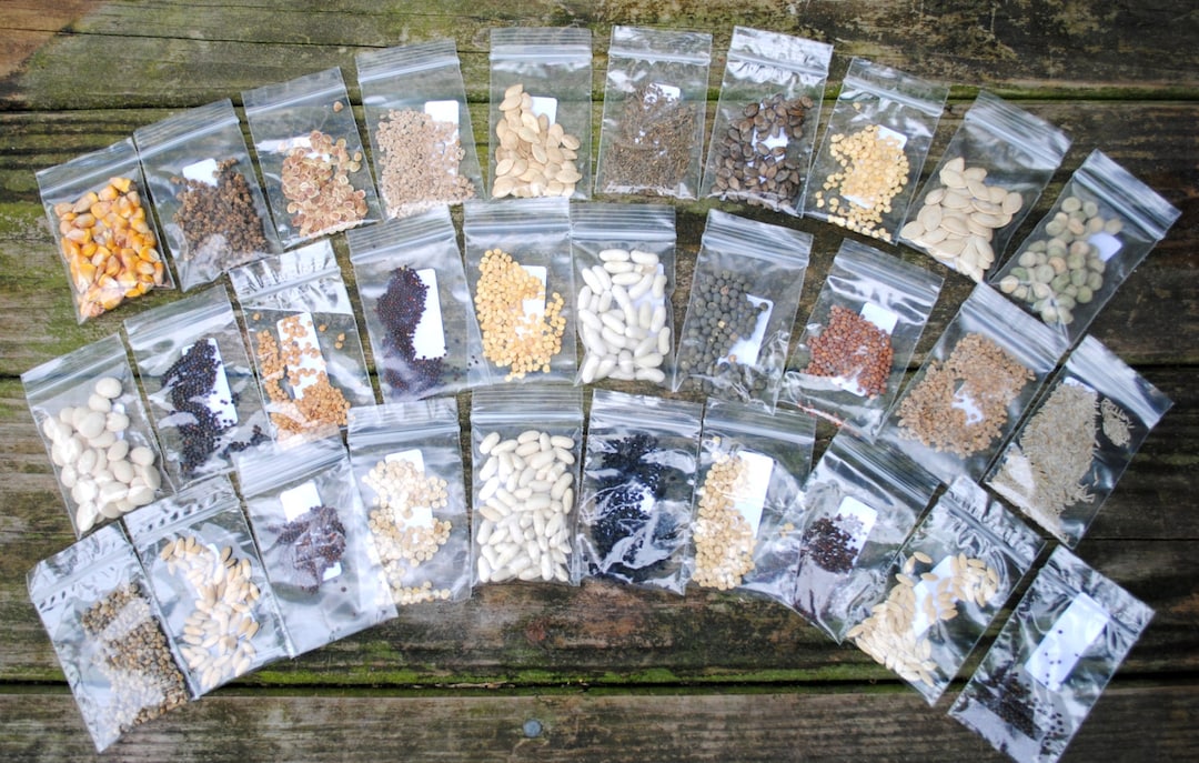 Emergency Survival Vegetable Non-Gmo, Heirloom Seed Pack-100% Heirloom Seed Kit, Garden gift, Free Shipping in the US, heirloom seeds