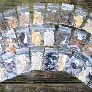 Emergency Survival Vegetable Heirloom Seed Pack Non-Hybrid Survival Seed Kit Seed Bank Garden Kit image 4