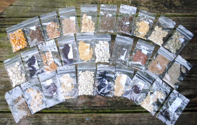 Emergency Survival Vegetable Heirloom Seed Pack Non-Hybrid Survival Seed Kit Seed Bank Garden Kit image 4