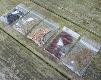 Organic Herb Seed Kit – Basil, Oregano, Cilantro, Dill, Parsley