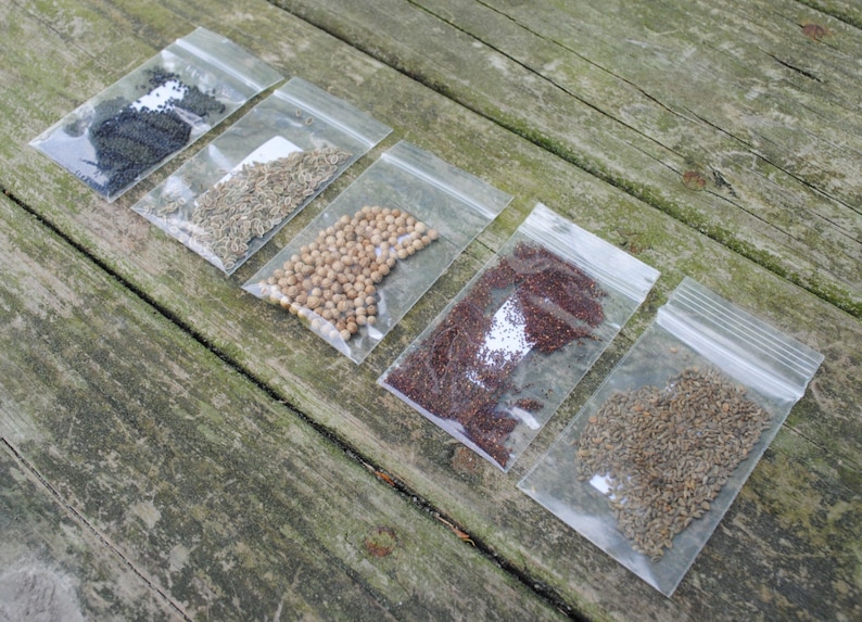 Peut inclure: Six petits sachets en plastique transparent remplis de diff&eacute;rents types de graines. Les graines sont noires, brunes, blanches et rouges.