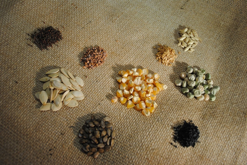 Emergency Survival Vegetable Seed Kit Heirloom Seed Pack Etsy