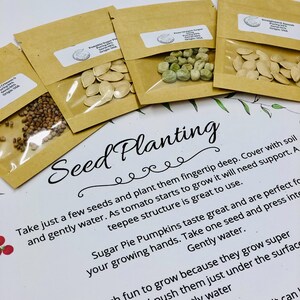 May include: Four small brown paper packets with clear plastic windows containing various seeds. The packets are labeled with the names of the seeds: "Crimson Clover", "Pumpkin Sugar Pie", "Pea Oregon Sugar", and "Straightneck Squash". The text "Seed Planting" is written in cursive on a white background with a green leafy design.