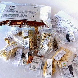 Vegetable seed pack, storage seed kit, sealed in mylar bag, heirloom seeds with 30 varieties of vegetables image 3