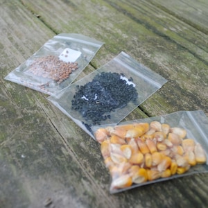May include: Three clear plastic bags filled with different types of seeds. The first bag contains small, light brown seeds. The second bag contains black seeds. The third bag contains yellow corn kernels.