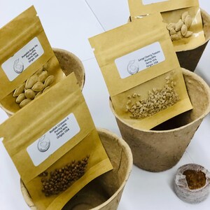 May include: Four brown paper packets with different types of seeds inside. The packets are labeled with the seed type, purity, germination rate, and origin. The packets are sitting in brown paper pots.  The seeds include: Pumpkin Sugar Pie, Radish Crimson, Large Cherry Tomato, and Straightneck Squash.