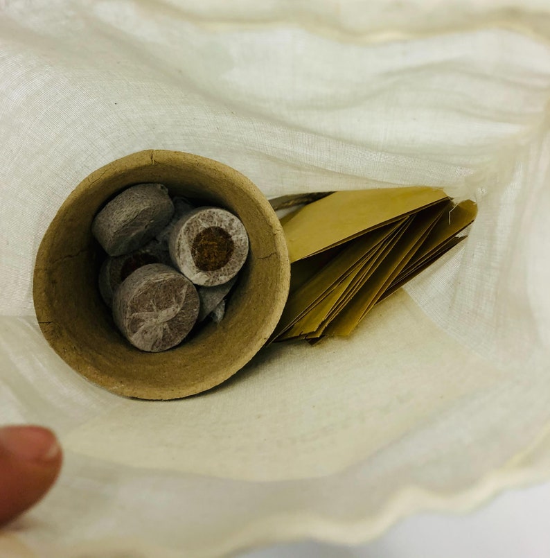 May include: A white cloth bag with a brown paper envelope and a small paper cup containing several round, brown, compressed soil discs.