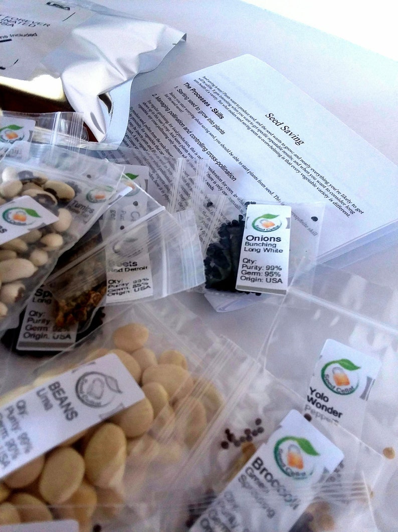May include: Assortment of seed packets in clear plastic bags, labeled with the names and varieties of vegetables, including turnips, onions, beans, broccoli, and peppers. The packets are arranged on a white surface with a sheet of paper with instructions for seed saving.
