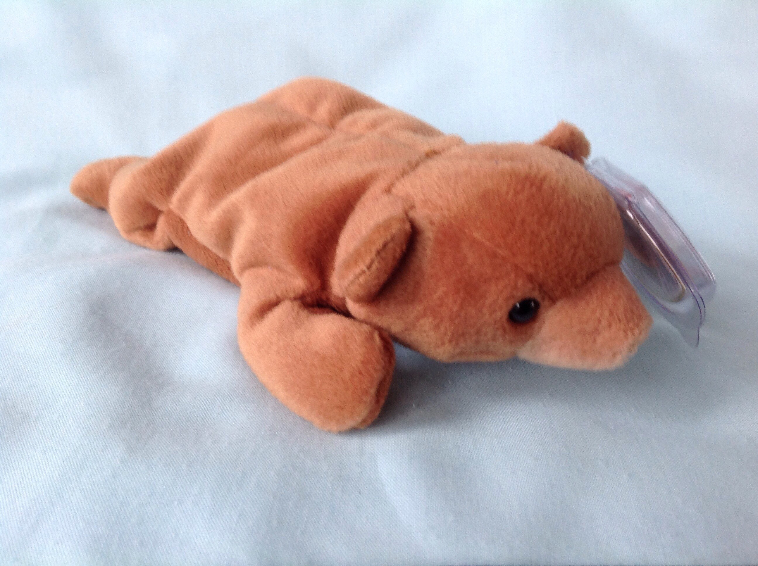 cubbie beanie baby