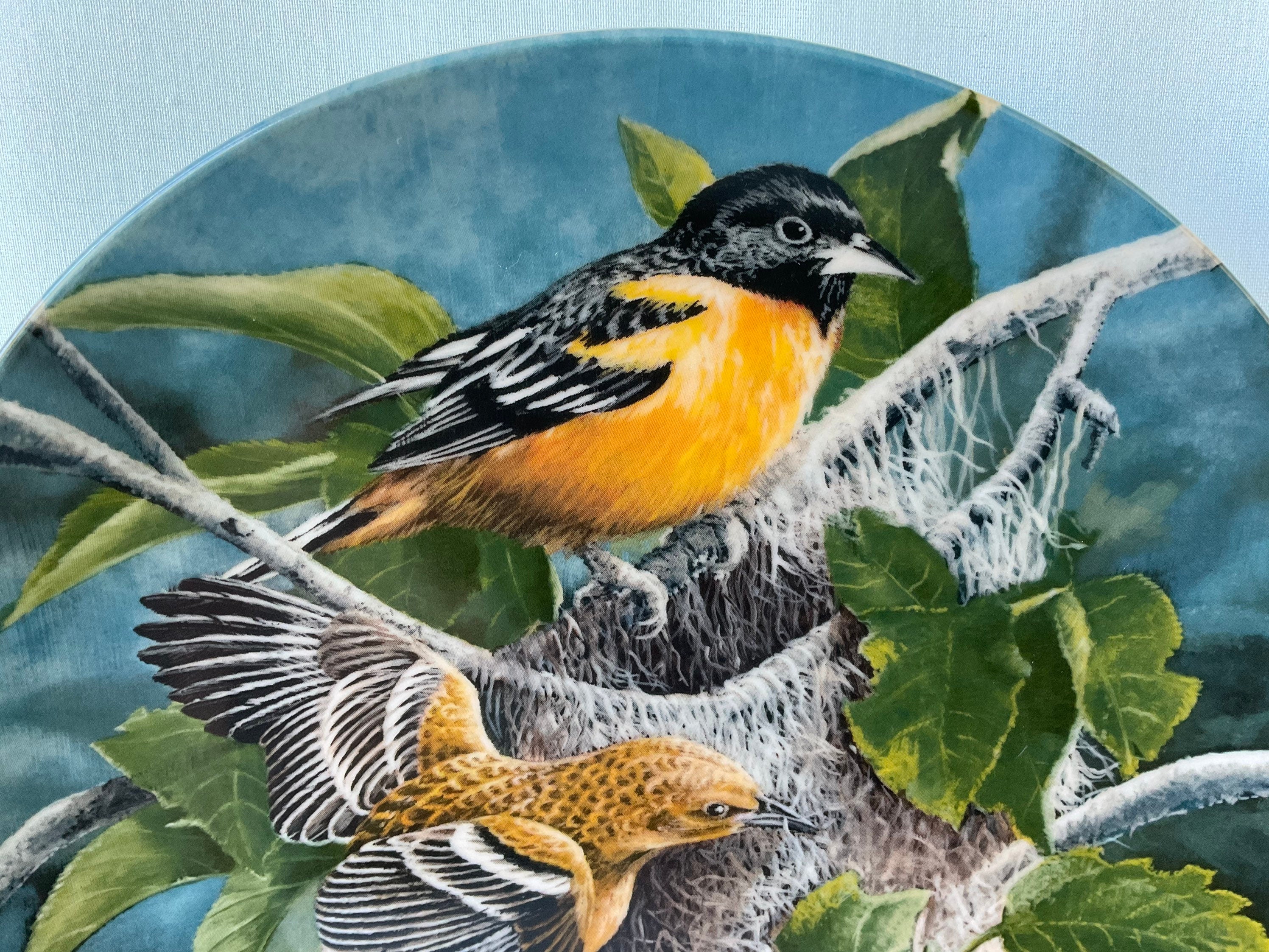 Baltimore Oriole Plate by Artist Kevin Daniel Limited Edition
