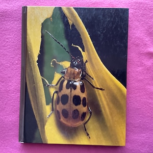 Puede incluir: Portada de libro con un primer plano de un escarabajo manchado sobre una hoja amarilla. El escarabajo tiene un cuerpo marrón con manchas negras y largas antenas. La hoja es de un amarillo vibrante con detalles en verde oscuro.