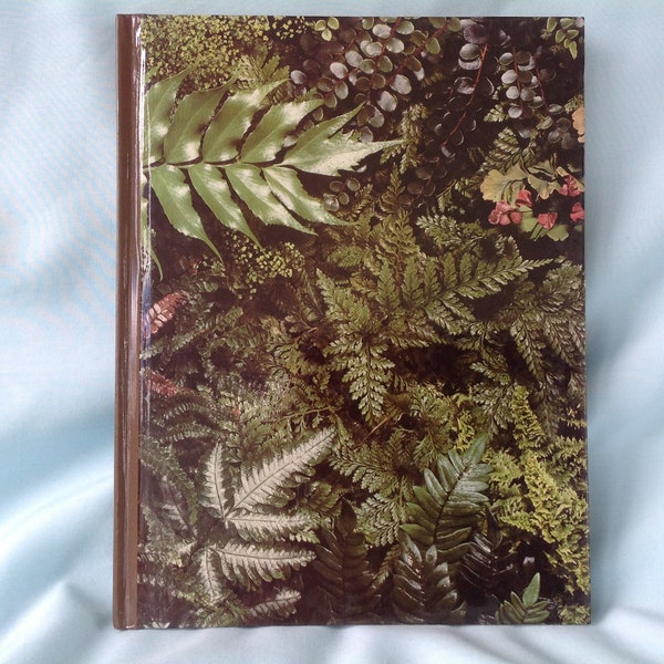 Ferns - Time Life Encyclopedia of Gardening by Philip Perl