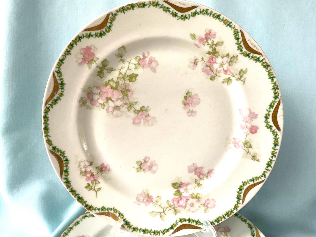 Pink Floral Haviland Plates Pink Flowers Plates Set of 3 - Etsy