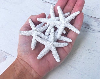 Artificial WHITE FINGER STARFISH - 5 pieces, Starfish, White Starfish, Non-toxic Starfish, Shells, Craft Supply, Wedding Decor
