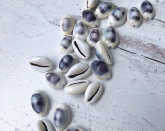 Small WHITE and PURPLE Top COWRIE Shells - 10 pieces, Small Seashells, Seashells, Natural Seashells, Shells, Craft Supply