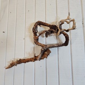 Rare Driftwood Heart Wall Art, Rustic Wooden Heart, Valentines Gift For Her, Boho Wood Wall Art