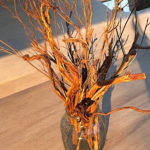 May include: A bunch of twisted, dried branches in a clear glass vase. The branches are a light brown color with hints of orange and red.