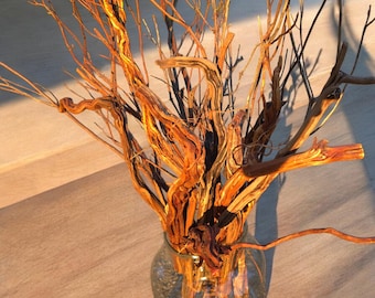 Red Sand Fern Roots - Driftwood branches - 12 -  16" Long - Wedding Decor - Macrame -DIY Crafts
