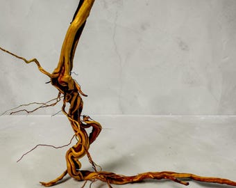 Driftwood Sticks, Red Sand Fern Root, 33 inches long set of 3