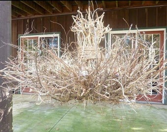 Honeysuckle Twig Chandelier | Handmade Rustic Branch Light Fixture