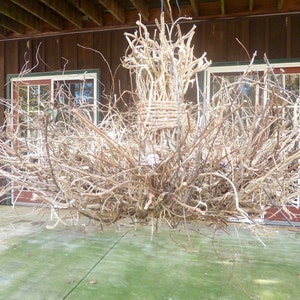 Rustic Twig Chandelier | Large Ocoee 9 light| Branch Chandelier | Natural Wood Chandelier | Outdoor Light Fixture | Farmhouse Light