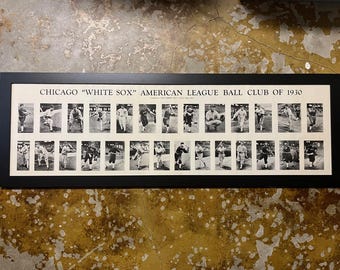 Framed Vintage 1930 Chicago White Sox Team Photo Compliments Blue Ribbon Malt