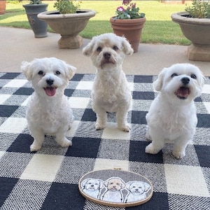 Custom Pet Portrait Embroidery Hoop Art: Oval Dog & Cat Design