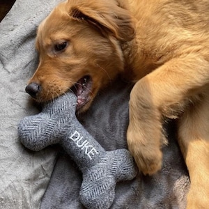 New Puppy Gift. Personalized Dog Toy. Durable Dog Toy. Squeaky Toy. Personalized Pet Gifts
